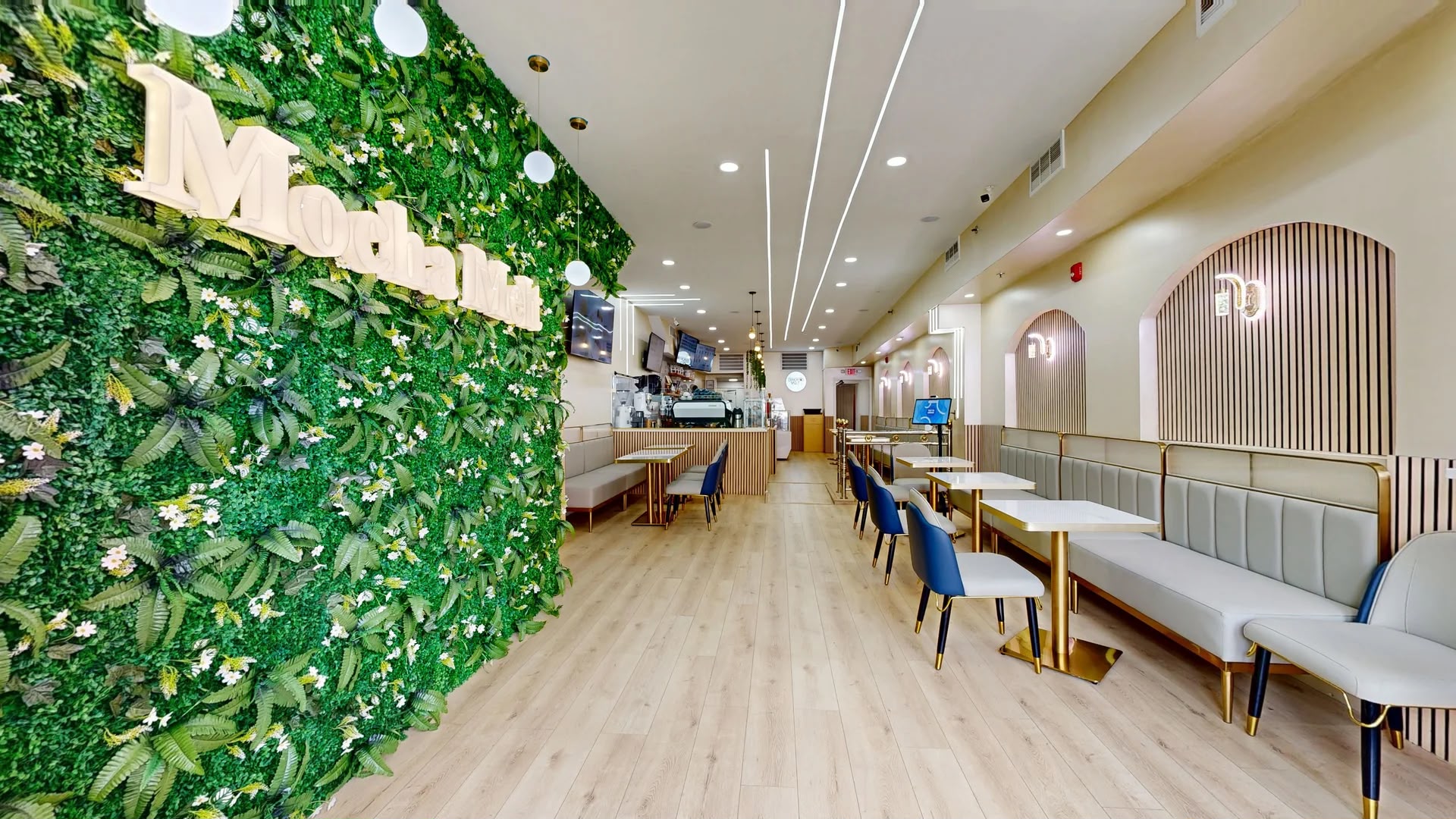 Mocha Melt Cafe interior with its green living wall and seating